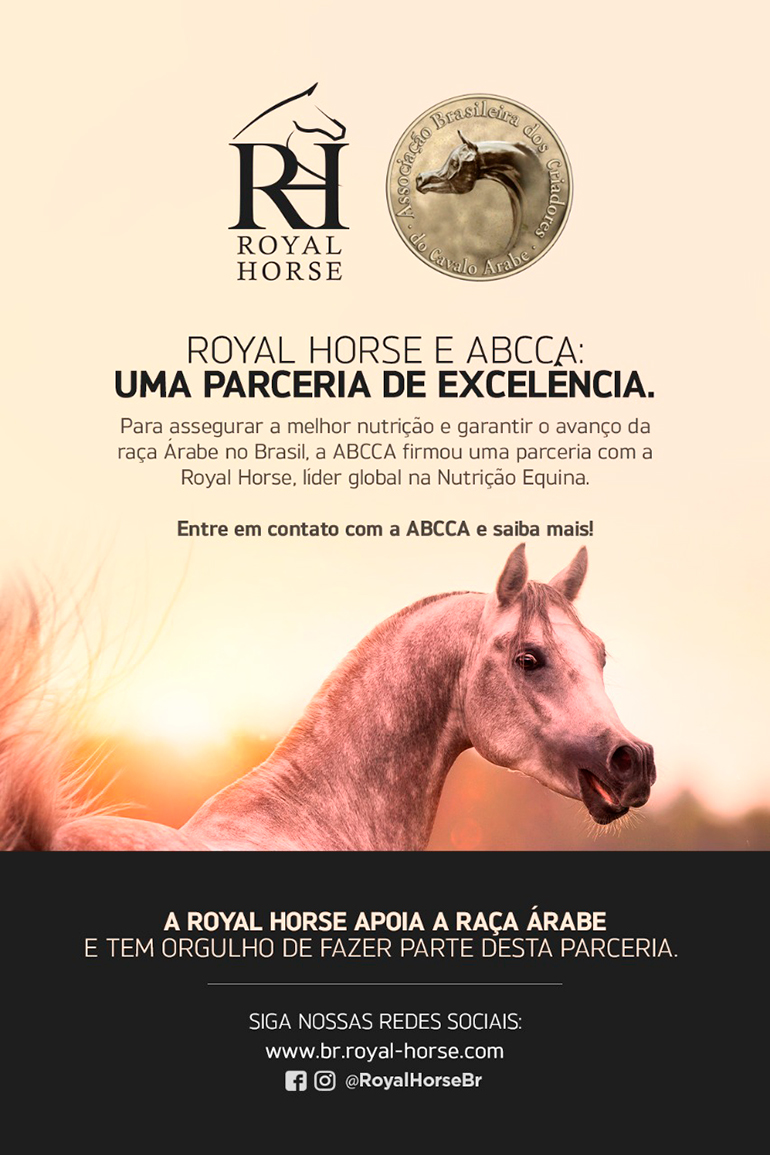 ROYAL HORSE E ABCCA